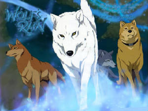 wolfsrain.jpg